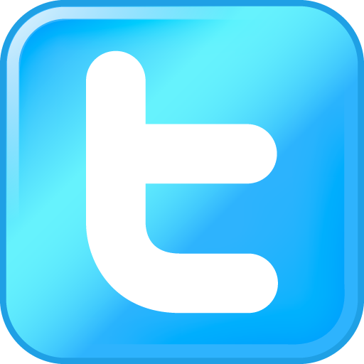 download twitter logo brilliant
