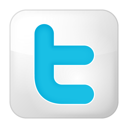 twitter logo icon grey background