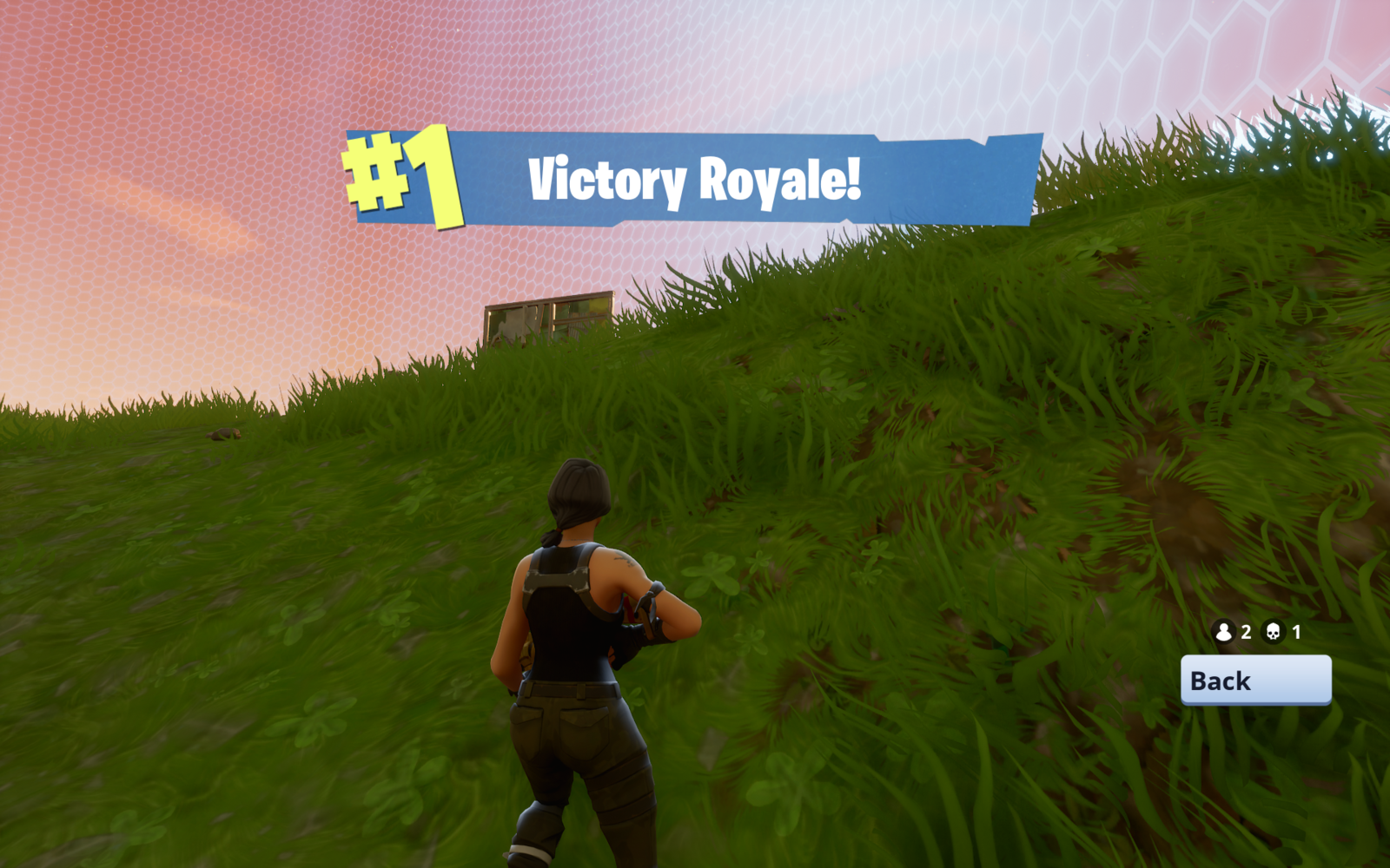 Victory Royale Png Hd 47381 Free Icons And Png Backgrounds - free icons png victory royale png hd