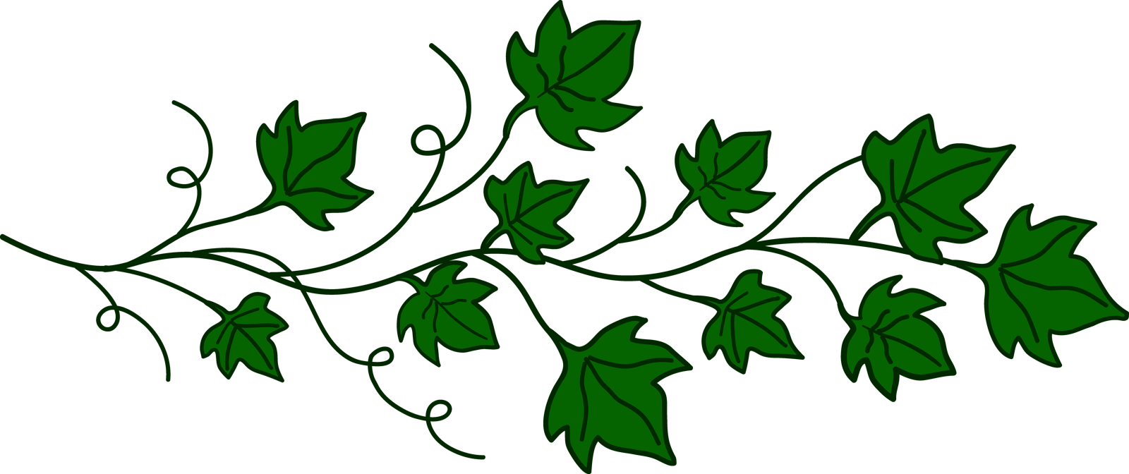 Vine clipart transparent png. 