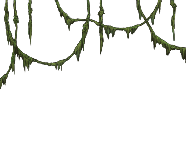 Jungle Vines Png