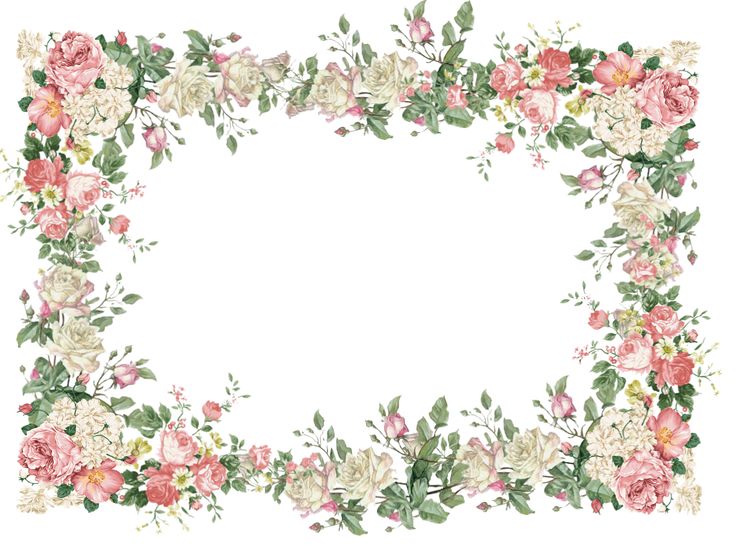 Flower Frame PNGs for Free Download