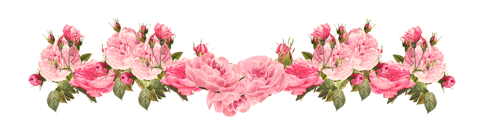 Rose Border Clip Art