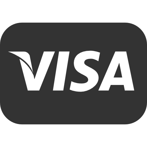 Visa Icon Size