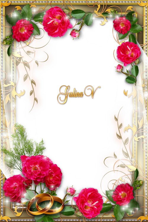 Background Wedding Frame PNG Transparent Background, Free Download #35205 -  FreeIconsPNG