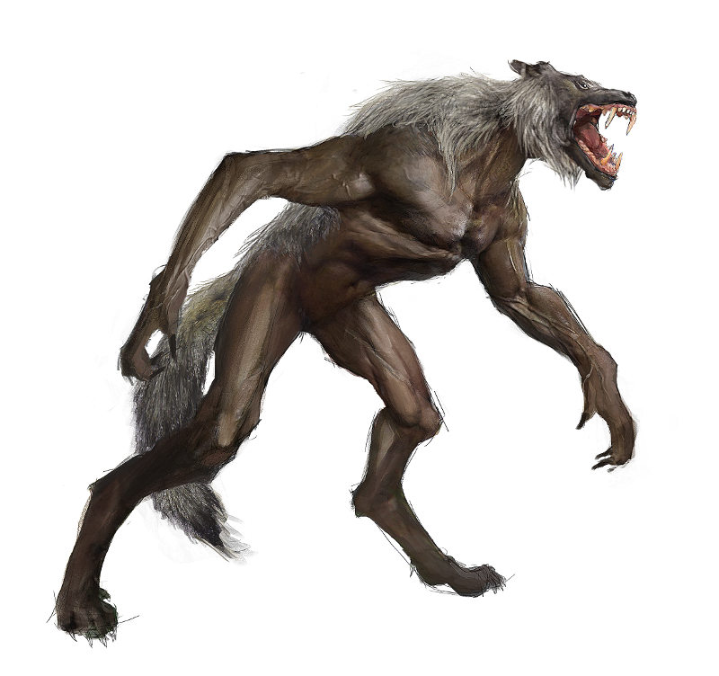 Werewolf Photo PNG Transparent Background, Free Download #48843 -  FreeIconsPNG