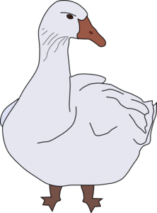 white goose png image