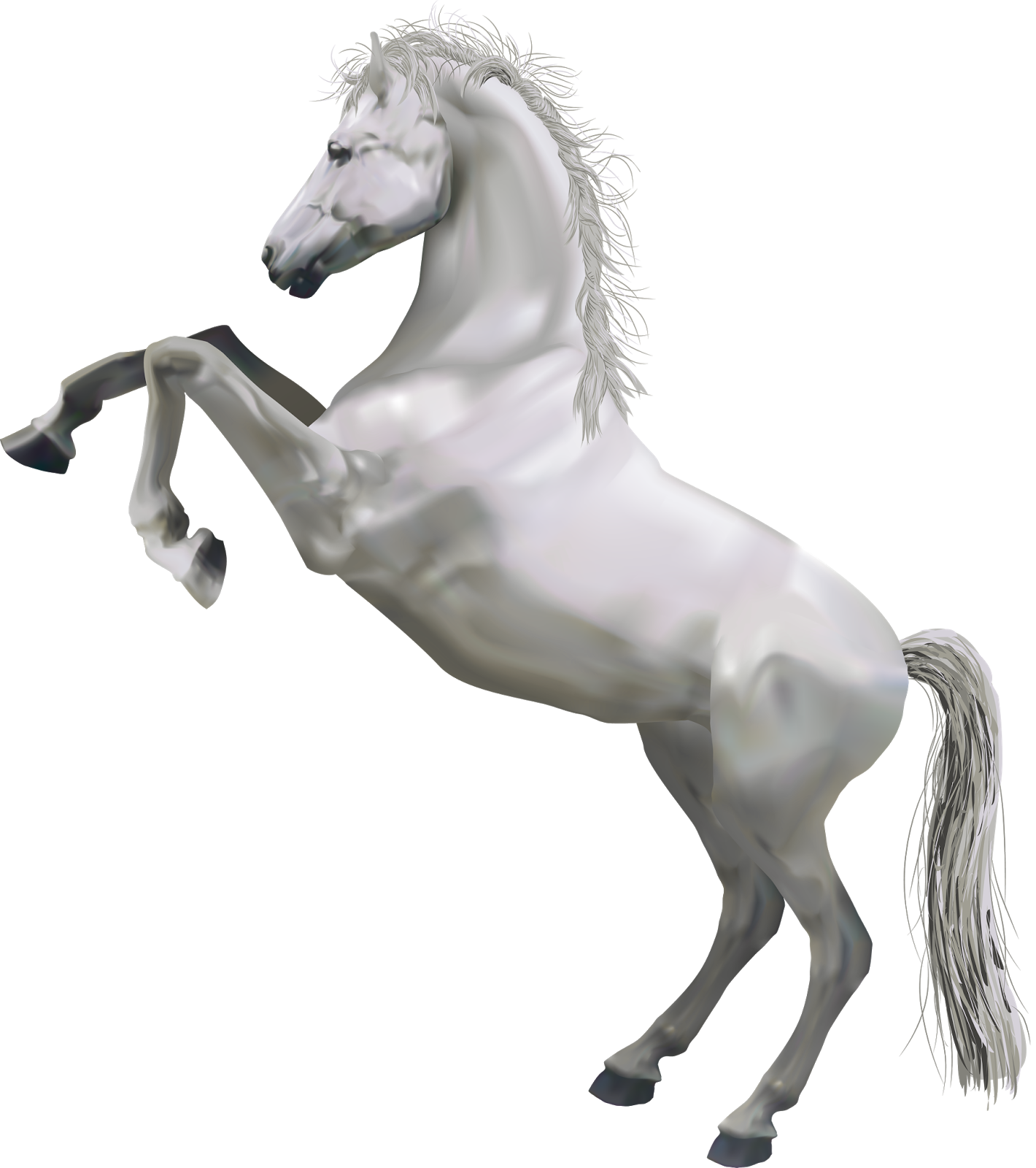 white horse 3d animal png