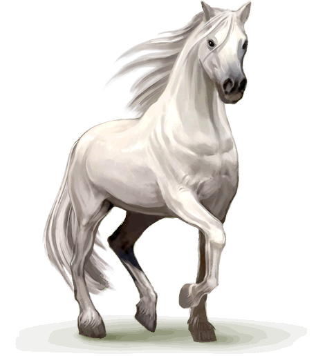 PNG Horse Image