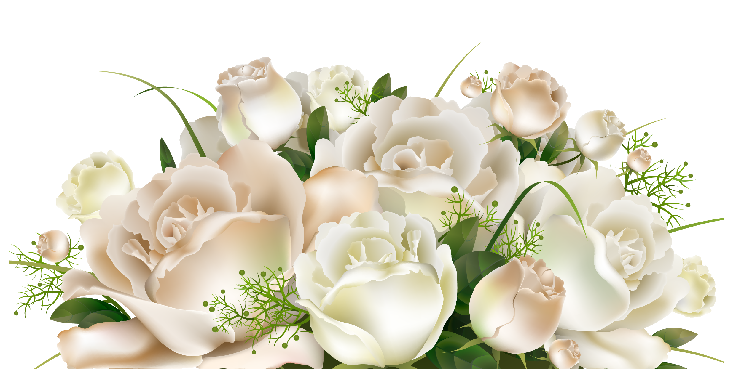 White Rose Transparent Png Pictures Free Icons And Png Backgrounds