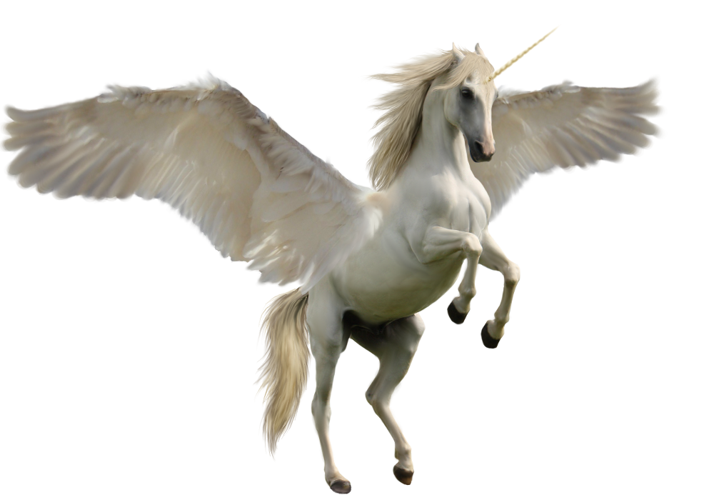 mushabelly white unicorn