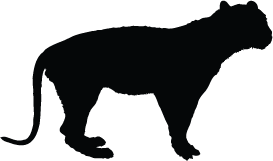 Wild Animals Silhouettes | Silhouettes Of Wild Animals PNG Transparent Background, Free Download #1063 - FreeIconsPNG Wild Animals Silhouettes | Silhouettes Of Wild Animals PNG Transparent Background, Free Download #1063 - FreeIconsPNG