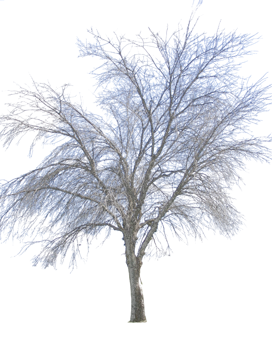 Vector Png Winter 900x1200, 1.59 MB, Winter PNG Download - FreeIconsPNG